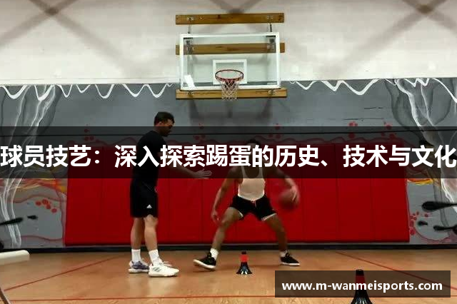 球员技艺：深入探索踢蛋的历史、技术与文化